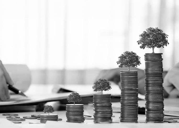 Curated Investment Opportunities.jpg